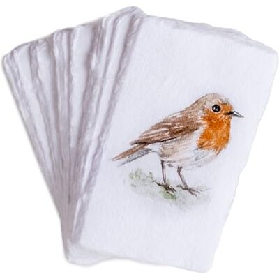 WANDERINGS Papel A5 cor creme algodão feito à mão borda rasgada, prensado a frio, aguarela, escrita, cartões, convites, menus, trabalhos manuais, pack de 50 150 GSM, 5,8 polegadas x 8,3 pol. / 15 x WANDERINGS Papel A5 cor creme algodão feito à mão borda rasgada, prensado a frio, aguarela, escrita, cartões, convites, menus, trabalhos manuais, pack de 50 150 GSM, 5,8 polegadas x 8,3 pol. / 15 x