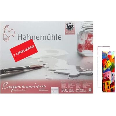 Hahnemühle Expressão de cartolina aguarela, 100% algodão, mate, 300 g/m², 24 x 30 cm, 20 folhas, fabricado na Alemanha Hahnemühle Expressão de cartolina aguarela, 100% algodão, mate, 300 g/m², 24 x 30 cm, 20 folhas, fabricado na Alemanha