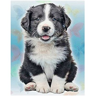 DCIDBEI Quadro quadrado de diamante de cachorro 30x40cm 5D artesanato manual para adultos mosaico pintura por números pintura de diamantes pedras quadradas com tela de viscose HD kit de ponto de cruz DCIDBEI Quadro quadrado de diamante de cachorro 30x40cm 5D artesanato manual para adultos mosaico pintura por números pintura de diamantes pedras quadradas com tela de viscose HD kit de ponto de cruz