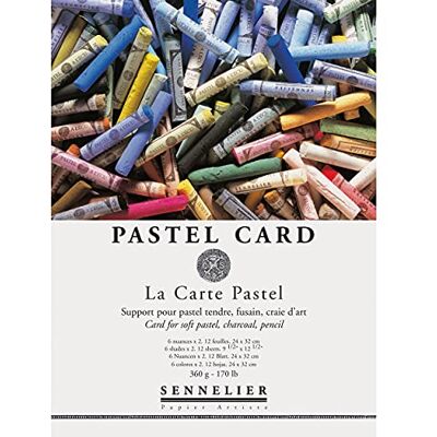 Sennelier A Carte Bloco de cores pastel, 9 x 12 polegadas, multicolor Sennelier A Carte Bloco de cores pastel, 9 x 12 polegadas, multicolor