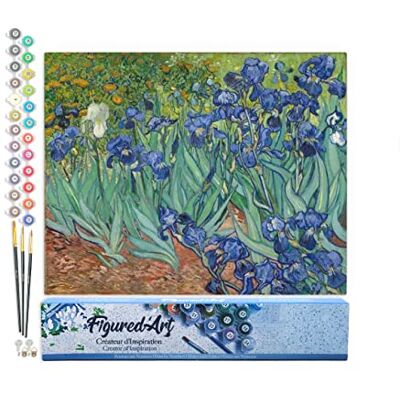 Pintar por NSJFS Adultos Van Gogh Iris 1 Artesanato pintura acrílica kit quadro DIY completo 40 x 50 cm sem moldura Pintar por NSJFS Adultos Van Gogh Iris 1 Artesanato pintura acrílica kit quadro DIY completo 40 x 50 cm sem moldura