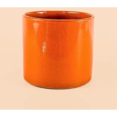 Pur Plant Vaso de laranja L terracota esmaltada Pur Plant Vaso de laranja L terracota esmaltada