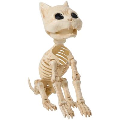 JOYIN Esqueleto de gato para decoração de Halloween, esqueletos de animais de plástico de 8 polegadas com articulações articuláveis móveis, assustadores para exteriores, interiores, pátio JOYIN Esqueleto de gato para decoração de Halloween, esqueletos de animais de plástico de 8 polegadas com articulações articuláveis móveis, assustadores para exteriores, interiores, pátio