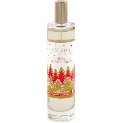 Esteban Ambientador de aroma Baies et Fleur d'hiver, 75 ml Esteban Ambientador de aroma Baies et Fleur d'hiver, 75 ml