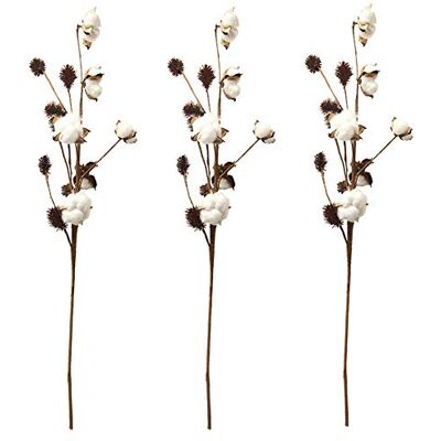 Aisamco Pacote de 3 Talos de Algodão Decoração de Fazenda Seleções Florais Enchimento de Vaso de Estilo Rústico Ramos de Algodão Rústico 68cm por Talo Decoração de Flor Aisamco Pacote de 3 Talos de Algodão Decoração de Fazenda Seleções Florais Enchimento de Vaso de Estilo Rústico Ramos de Algodão Rústico 68cm por Talo Decoração de Flor