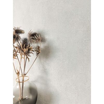 Newroom papel de parede cinzento liso efeito gesso mate sala escritório Tom frio e luminoso, textura fina minimalista nórdica, papel de parede tnt, escritório hall de entrada Newroom papel de parede cinzento liso efeito gesso mate sala escritório Tom frio e luminoso, textura fina minimalista nórdica, papel de parede tnt, escritório hall de entrada