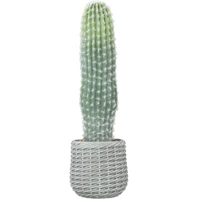 HOMCOM Cactus artificial 66 cm planta decorativa vaso interior verde Planta artificial, decoração de casa, escritório, sala de estar HOMCOM Cactus artificial 66 cm planta decorativa vaso interior verde Planta artificial, decoração de casa, escritório, sala de estar