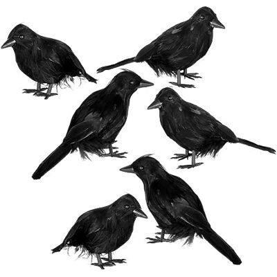 JOYIN 6 Pacotes de acessórios de decoração de corvos falsos de Halloween para mesas, árvores, paredes e janelas JOYIN 6 Pacotes de acessórios de decoração de corvos falsos de Halloween para mesas, árvores, paredes e janelas