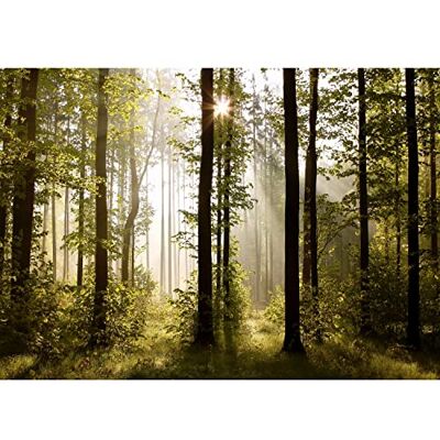 Papel de parede fotográfico paisagem florestal Sun 352 x 250 cm lã papel de parede XXL moderna decoração de parede sala quarto escritório sala verde castanho Papel de parede fotográfico paisagem florestal Sun 352 x 250 cm lã papel de parede XXL moderna decoração de parede sala quarto escritório sala verde castanho