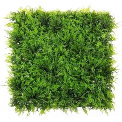 LOLAhome Jardim vertical artificial cantábrico, 1 painel de 100 x 100 cm Proteção exterior: PVC 5 anos proteção UV. Realista e elegante, fácil instalação. Para interior e exterior. LOLAhome Jardim vertical artificial cantábrico, 1 painel de 100 x 100 cm Proteção exterior: PVC 5 anos proteção UV. Realista e elegante, fácil instalação. Para interior e exterior.