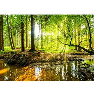 Papel de parede fotográfico 396 x 280 cm Waldbach Lana Decoração de parede sala quarto Fabricação alemã verde castanho a Papel de parede fotográfico 396 x 280 cm Waldbach Lana Decoração de parede sala quarto Fabricação alemã verde castanho a