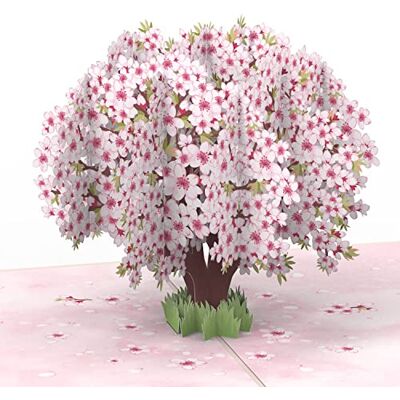 papercrush ® Cartão de felicitação 3D Sakura com design de flores de cerejeira, presente de aniversário para ela, esposa, namorada ou presente especial para mulheres (amiga, mãe, avó) papercrush ® Cartão de felicitação 3D Sakura com design de flores de cerejeira, presente de aniversário para ela, esposa, namorada ou presente especial para mulheres (amiga, mãe, avó)