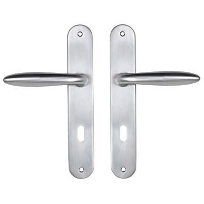Bricard Conjunto de puxadores de zamak sobre placa para quarto, porta interior, cor: Prata Bricard Conjunto de puxadores de zamak sobre placa para quarto, porta interior, cor: Prata