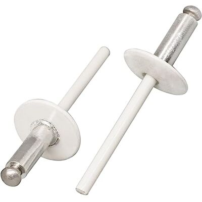 SKIR'CO (100 unidades) Rebites cegos de alumínio com flange grande 4,8 x 16 mm, mandril de aço inoxidável, RAL 9010 branco puro SKIR'CO (100 unidades) Rebites cegos de alumínio com flange grande 4,8 x 16 mm, mandril de aço inoxidável, RAL 9010 branco puro