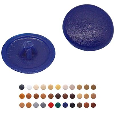 Marcopol 50 tampões para tampa de rosca Pozi de 12 mm de diâmetro, cabeça Pozidriv com clipe em tampas de plástico, tampa decorativa para móveis (50, azul S28) Marcopol 50 tampões para tampa de rosca Pozi de 12 mm de diâmetro, cabeça Pozidriv com clipe em tampas de plástico, tampa decorativa para móveis (50, azul S28)