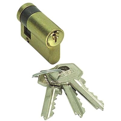 tesa Assa Abloy, 50308010N, Cilindro padrão, TE5, Leva longa, chave chave, níquel, 80 x 10 mm tesa Assa Abloy, 50308010N, Cilindro padrão, TE5, Leva longa, chave chave, níquel, 80 x 10 mm