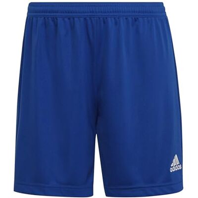 Adidas Performance de entrada 22 Shorts Damen Adidas Performance de entrada 22 Shorts Damen