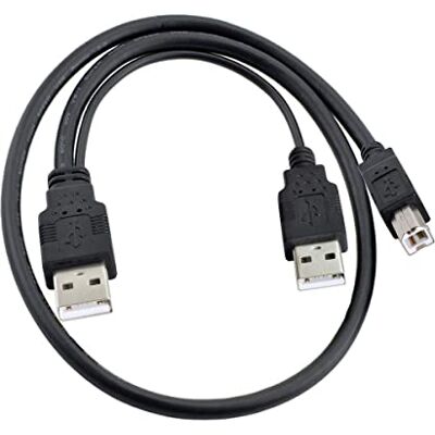 chenyang Cabo duplo USB 2.0 macho para padrão B macho Y, compatível com alimentação de 5 V para impressora, scanner, disco rígido externo chenyang Cabo duplo USB 2.0 macho para padrão B macho Y, compatível com alimentação de 5 V para impressora, scanner, disco rígido externo