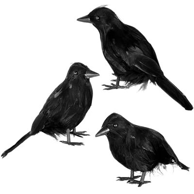 JOYIN Pacote de 3 corvos com penas pretas para decoração de Halloween, corvos falsos realistas, mesa, detalhes de penas realistas JOYIN Pacote de 3 corvos com penas pretas para decoração de Halloween, corvos falsos realistas, mesa, detalhes de penas realistas