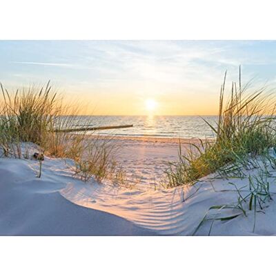 Papel de Parede Fotográfico Praia Pôr do Sol Moderna Deco Sala Quarto Feito na Alemanha Mar Natureza Papel de Parede Fotográfico Praia Pôr do Sol Moderna Deco Sala Quarto Feito na Alemanha Mar Natureza