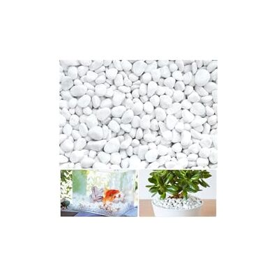 LuluDa Cascalho seixos pedras pequenas pedras de mármore branco naturais seixos decorativos brancos para aquário decorações de jardim, vasos e plantas vaso, 500 g LuluDa Cascalho seixos pedras pequenas pedras de mármore branco naturais seixos decorativos brancos para aquário decorações de jardim, vasos e plantas vaso, 500 g