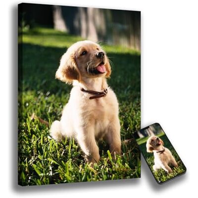 Oops Quadro personalizado com a sua foto 100% personalizável armação de madeira, presente para casamentos, aniversários, dia dos namorados e lembranças (tela, 100 x 70) Oops Quadro personalizado com a sua foto 100% personalizável armação de madeira, presente para casamentos, aniversários, dia dos namorados e lembranças (tela, 100 x 70)