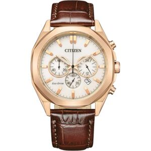 Citizen Relógio , Marrom, Pulseira, Marrom, Pulseira Citizen Relógio , Marrom, Pulseira, Marrom, Pulseira