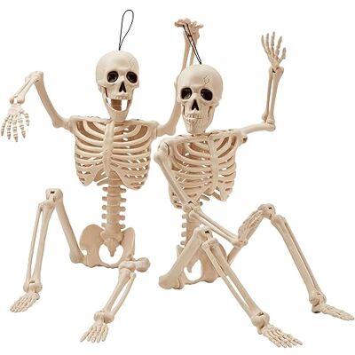 JOYIN 2 peças 24" esqueletos de Halloween esqueletos posáveis de corpo inteiro ossos humanos de plástico com articulações móveis para decorações assustadoras de interior e exterior JOYIN 2 peças 24" esqueletos de Halloween esqueletos posáveis de corpo inteiro ossos humanos de plástico com articulações móveis para decorações assustadoras de interior e exterior