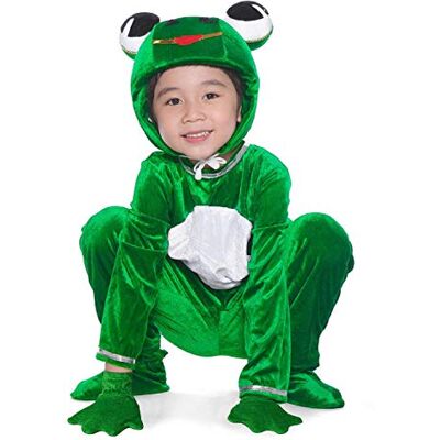 LOLANTA Disfarce unissexo de príncipe rã para crianças dos 4 aos 13, ideal para festas de fantasia ou escola LOLANTA Disfarce unissexo de príncipe rã para crianças dos 4 aos 13, ideal para festas de fantasia ou escola