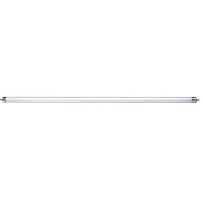 SLV T5, lâmpada fluorescente 14 W, 3000 K SLV T5, lâmpada fluorescente 14 W, 3000 K