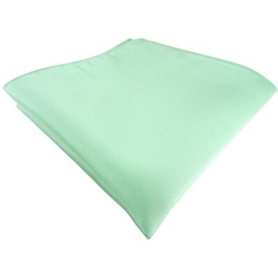 TigerTie Gravata Básico para homem verde menta tamanho único, Verde menta TigerTie Gravata Básico para homem verde menta tamanho único, Verde menta