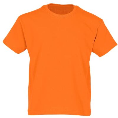 Fruit of the Loom 61-033-0 T-shirt unissexo, Laranja, 12-13 anos Fruit of the Loom 61-033-0 T-shirt unissexo, Laranja, 12-13 anos