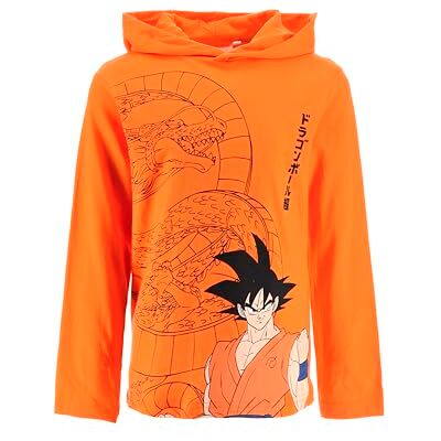 Dragon Camisola Menino, Camisola de Manga Comprida com Capuz, Presente para Crianças, Tamanhos 4 a 12 Anos, Laranja, 5 anos Dragon Camisola Menino, Camisola de Manga Comprida com Capuz, Presente para Crianças, Tamanhos 4 a 12 Anos, Laranja, 5 anos
