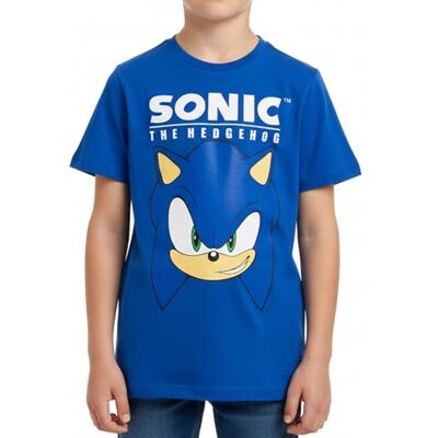Sonic The Hedgehog T-shirt para crianças, t-shirt de manga curta, presente para crianças, tamanhos 6 a 12 anos Sonic The Hedgehog T-shirt para crianças, t-shirt de manga curta, presente para crianças, tamanhos 6 a 12 anos
