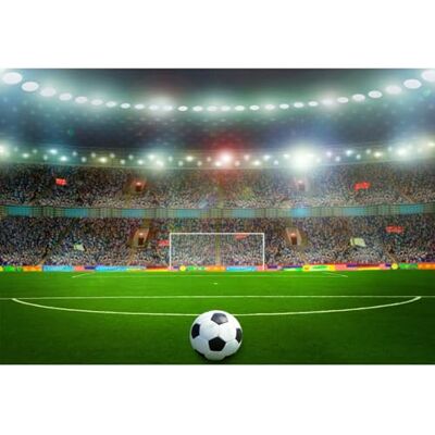 YongFoto 3 x 2 m vinil fundo de fotografia campo de futebol luzes de cenário desportivo interior de erva verde pano de fundo festa casamento adulto retrato pessoal estúdio fotográfico acessórios YongFoto 3 x 2 m vinil fundo de fotografia campo de futebol luzes de cenário desportivo interior de erva verde pano de fundo festa casamento adulto retrato pessoal estúdio fotográfico acessórios