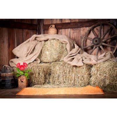 YongFoto 3 x 2 m Vinil pano de fundo antigo celeiro com Straw bales quinta campo fundo para fotografia festa crianças Boby retrato pessoal estúdio fotográfico acessórios YongFoto 3 x 2 m Vinil pano de fundo antigo celeiro com Straw bales quinta campo fundo para fotografia festa crianças Boby retrato pessoal estúdio fotográfico acessórios