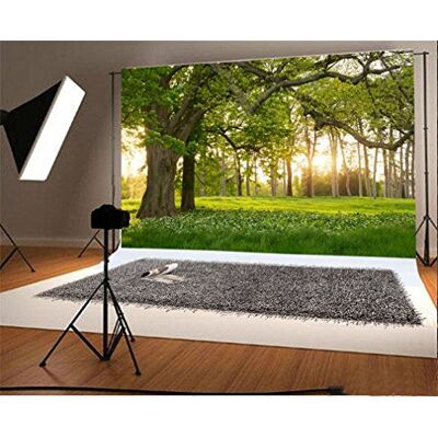 YongFoto 3 x 2 m vinil fundos fotográficos natureza paisagem Forest Green Grass Field flores fundos para fotografia festa crianças Boby casamento adulto retrato pessoal estúdio fotográfico acessórios YongFoto 3 x 2 m vinil fundos fotográficos natureza paisagem Forest Green Grass Field flores fundos para fotografia festa crianças Boby casamento adulto retrato pessoal estúdio fotográfico acessórios
