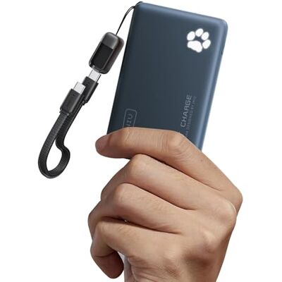 INIU Power Bank, pequeno carregamento rápido de 45 W 10000 mAh USB C Cabo USB C removível, adequado para avião, essenciais de viagem, bateria portátil para iPhone 18 17 16 Pro, Samsung, azul INIU Power Bank, pequeno carregamento rápido de 45 W 10000 mAh USB C Cabo USB C removível, adequado para avião, essenciais de viagem, bateria portátil para iPhone 18 17 16 Pro, Samsung, azul