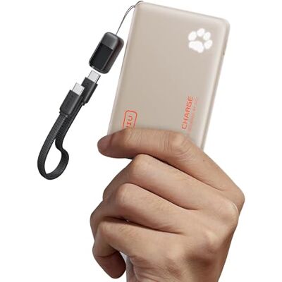 INIU Power Bank, pequeno carregamento rápido de 45 W 10000 mAh USB C Cabo USB C removível, adequado para avião, essenciais de viagem, bateria portátil para iPhone 18 17 16 Pro, Samsung, bege INIU Power Bank, pequeno carregamento rápido de 45 W 10000 mAh USB C Cabo USB C removível, adequado para avião, essenciais de viagem, bateria portátil para iPhone 18 17 16 Pro, Samsung, bege