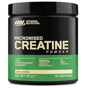 Optimum Nutrition Creatina Monoidrato - Suplemento de Força Optimum Nutrition Creatina Monoidrato - Suplemento de Força