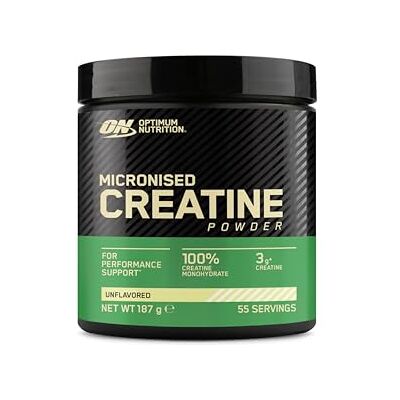 Optimum Nutrition Creatina Monoidrato - Suplemento de Força Optimum Nutrition Creatina Monoidrato - Suplemento de Força