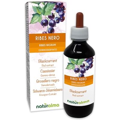 Naturalma Groseleira preta (Ribes nigrum) Yemoderivato sem álcool de gemas frescas extrato líquido gotas 200 ml complemento alimentar Vegano Naturalma Groseleira preta (Ribes nigrum) Yemoderivato sem álcool de gemas frescas extrato líquido gotas 200 ml complemento alimentar Vegano