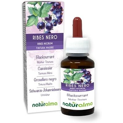 Naturalma Groseleira preta (Ribes nigrum) folhas e frutos Tintura mãe sem álcool natureza extrato líquido gotas 60 ml complemento alimentar vegano Naturalma Groseleira preta (Ribes nigrum) folhas e frutos Tintura mãe sem álcool natureza extrato líquido gotas 60 ml complemento alimentar vegano