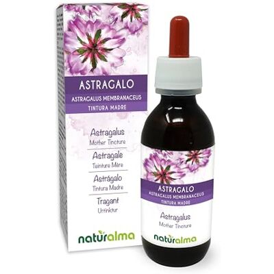 Naturalma Astrágalo (Astragalus membranaceus) raízes pintura mãe sem álcool natureza líquido em gotas 120 ml complemento alimentar vegano Naturalma Astrágalo (Astragalus membranaceus) raízes pintura mãe sem álcool natureza líquido em gotas 120 ml complemento alimentar vegano