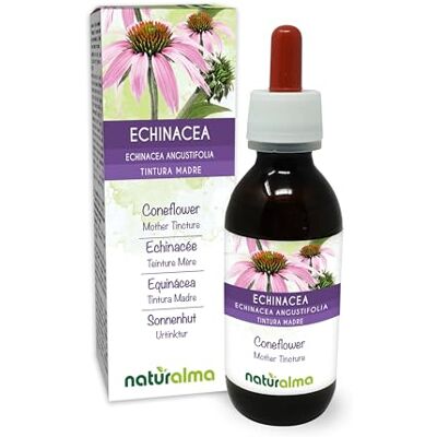 Naturalma Equinácea (Echinacea angustifolia) raízes Tintura Mãe sem álcool Extrato líquido gotas 120 ml Suplemento alimentar Vegano Naturalma Equinácea (Echinacea angustifolia) raízes Tintura Mãe sem álcool Extrato líquido gotas 120 ml Suplemento alimentar Vegano