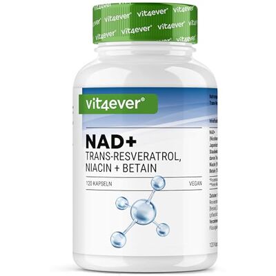 Vit4ever Complexo Premium NAD+ 120 cápsulas 500 mg de Nad Vegan Com Trans-Resveratrol de 98%, niacina (vitamina B3) e betaína (TMG) para 60 dias Vit4ever Complexo Premium NAD+ 120 cápsulas 500 mg de Nad Vegan Com Trans-Resveratrol de 98%, niacina (vitamina B3) e betaína (TMG) para 60 dias