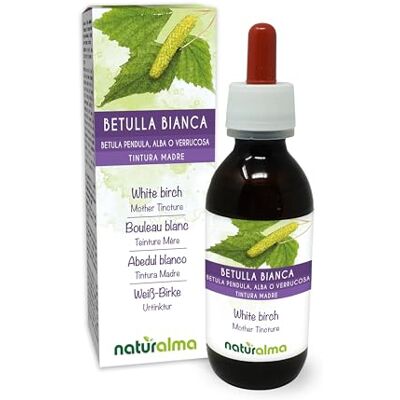 Naturalma Bétula branca (Betula pendula, alba ou verrucose) folhas pintura mãe sem álcool natureza extrato líquido gotas 120 ml complemento alimentar vegano Naturalma Bétula branca (Betula pendula, alba ou verrucose) folhas pintura mãe sem álcool natureza extrato líquido gotas 120 ml complemento alimentar vegano