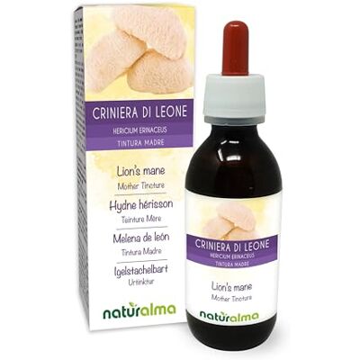 Naturalma Melena de leão ou Cogumelo ouriço (Hericium erinaceus) fungo Tintura Mãe sem álcool Extrato líquido gotas 120 ml Suplemento alimentar Vegano Naturalma Melena de leão ou Cogumelo ouriço (Hericium erinaceus) fungo Tintura Mãe sem álcool Extrato líquido gotas 120 ml Suplemento alimentar Vegano