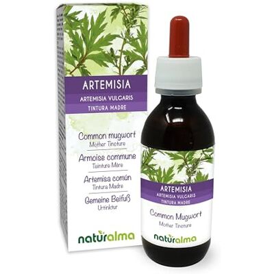 Naturalma Artemísia comum (Artemisia vulgaris) erva com flores pintura mãe sem álcool natureza extrato líquido gotas 120 ml complemento alimentar Vegan Naturalma Artemísia comum (Artemisia vulgaris) erva com flores pintura mãe sem álcool natureza extrato líquido gotas 120 ml complemento alimentar Vegan