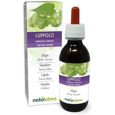 Naturalma Lúpulo (Humulus lúpulus) estróbilos ou cones (flores femininas) pintura mãe sem álcool natureza extrato líquido gotas 120 ml complemento alimentar vegano Naturalma Lúpulo (Humulus lúpulus) estróbilos ou cones (flores femininas) pintura mãe sem álcool natureza extrato líquido gotas 120 ml complemento alimentar vegano